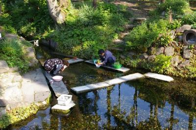 自家製水ようかん詰合せ