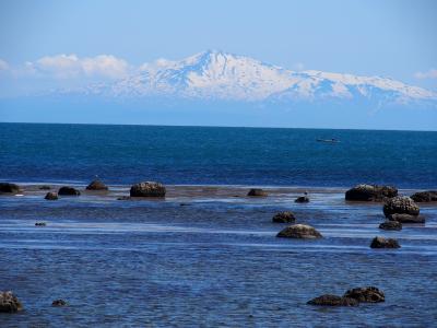 あきた　海の葉（９枚入り）